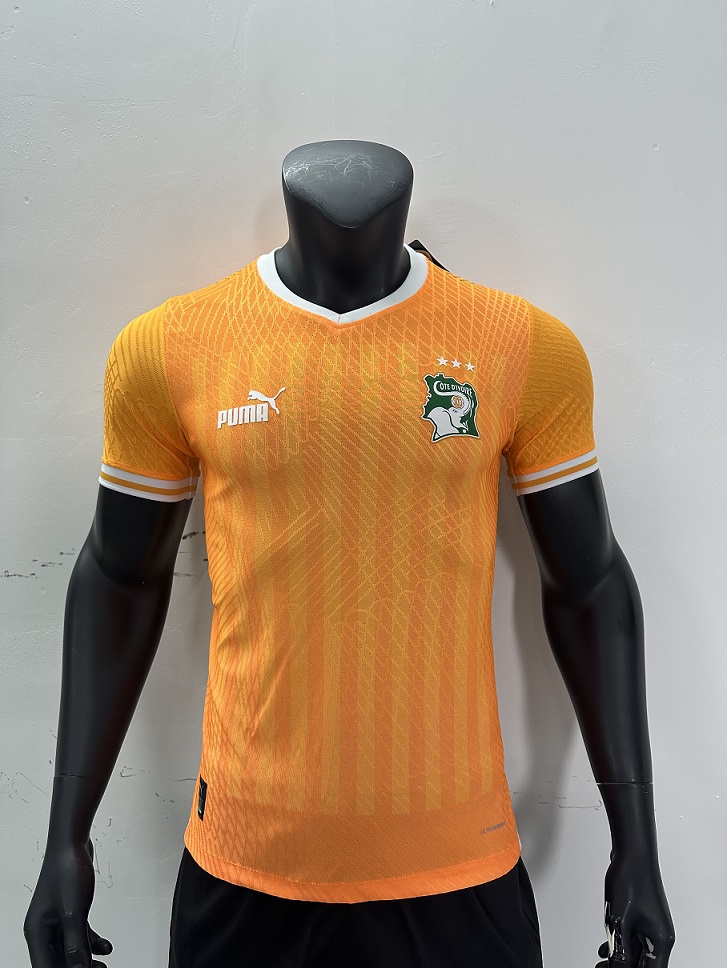 AAA Quality Cote d'Ivoire 23/24 Home Three Stars Jersey(Player)